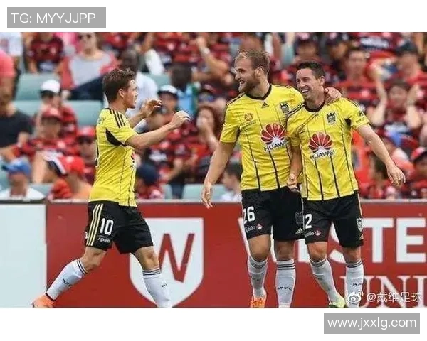 中央海与惠灵顿足球队对决分析及战术探讨