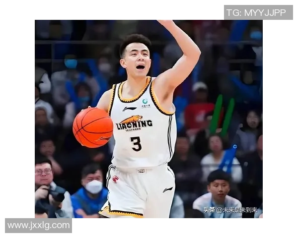 赵继伟：从青年才俊到篮球明星的成长之路与未来展望